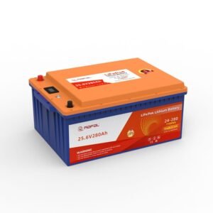 LiFePO4 Plastic case Series